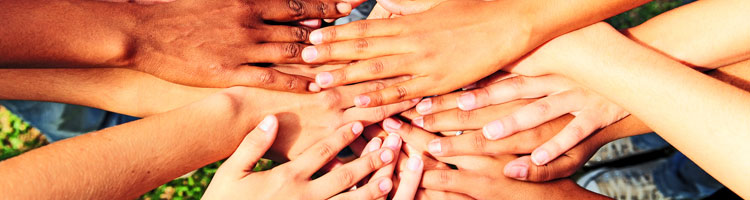 header image